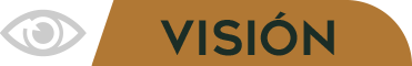 Visión